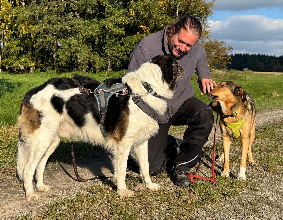 Training und erste Struktur